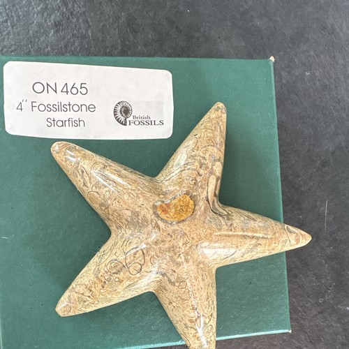 Fossilstone marble starfish - 4,